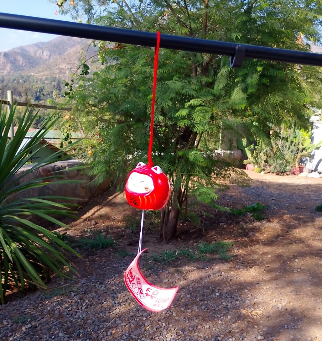 Furin "Daruma Maneki-neko"